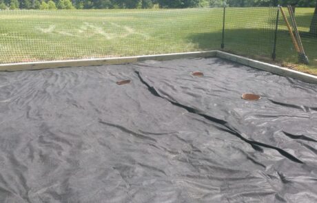 Ellis-Perserve-10-1024×577