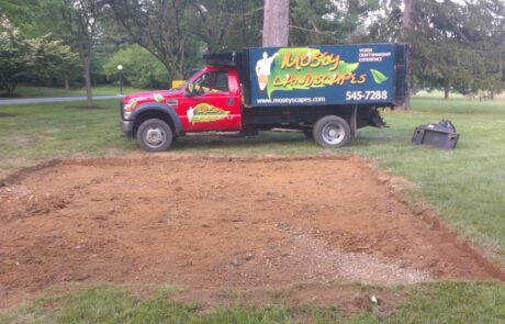 Ellis-Perserve-4-1024×577